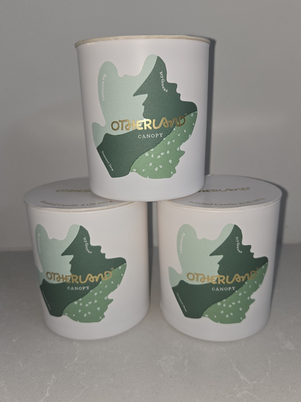 Three (3) Otherland Scent Candles 8 oz Canopy Ivy Fig Summer Dew New